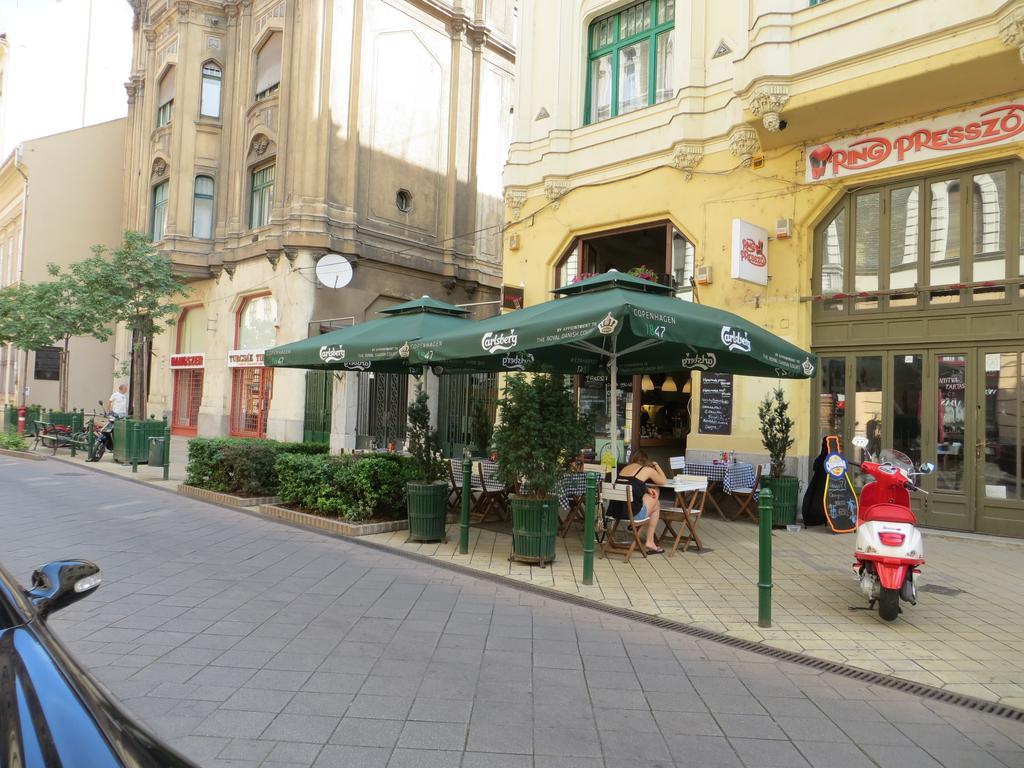 Apartament Raday Street *